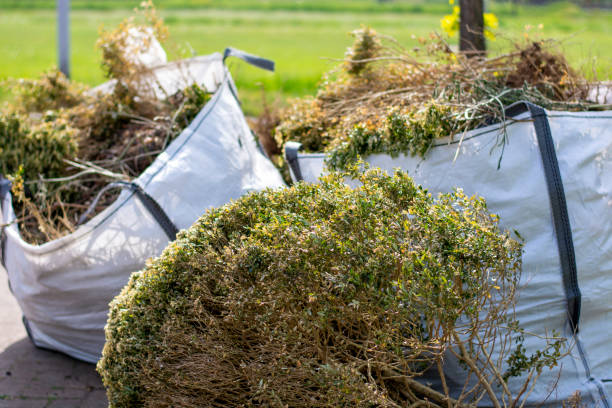 Best Commercial Cleanout Services  in Fremont, OH