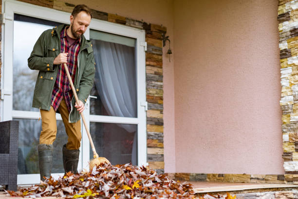 Best Office Junk Removal  in Fremont, OH